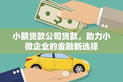 爱民小额贷款公司贷款，助力小微企业的金融新选择