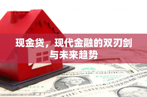 爱民现金贷，现代金融的双刃剑与未来趋势