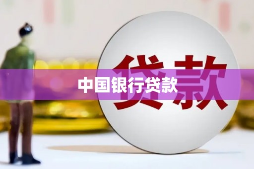 爱民中国银行贷款