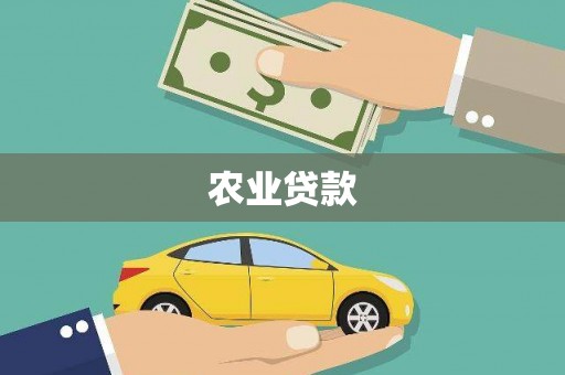 爱民农业贷款