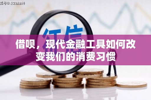 爱民借呗，现代金融工具如何改变我们的消费习惯