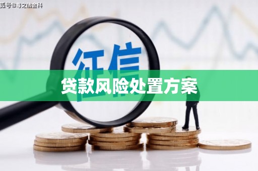 爱民贷款风险处置方案