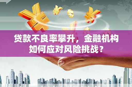 爱民贷款不良率攀升，金融机构如何应对风险挑战？