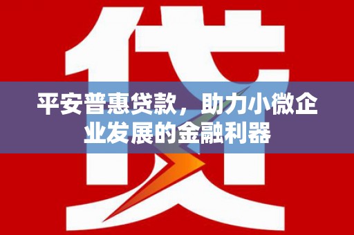 爱民平安普惠贷款，助力小微企业发展的金融利器
