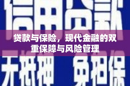 爱民贷款与保险，现代金融的双重保障与风险管理