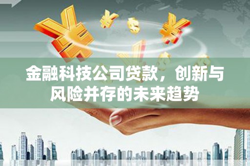 爱民金融科技公司贷款，创新与风险并存的未来趋势