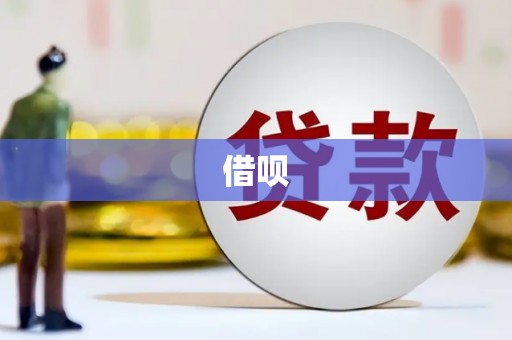 爱民借呗