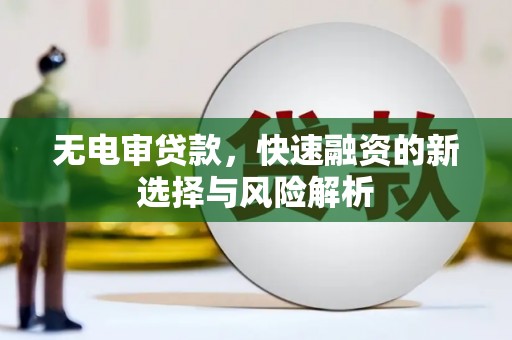 爱民无电审贷款，快速融资的新选择与风险解析