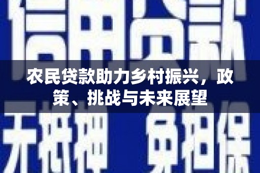 爱民农民贷款助力乡村振兴，政策、挑战与未来展望