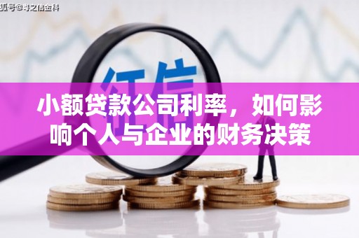 爱民小额贷款公司利率，如何影响个人与企业的财务决策
