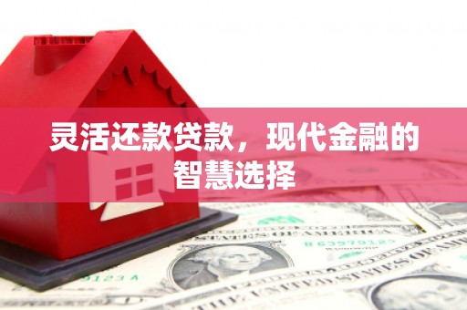 爱民灵活还款贷款，现代金融的智慧选择