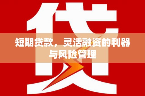 爱民短期贷款，灵活融资的利器与风险管理