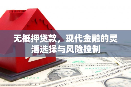 爱民无抵押贷款，现代金融的灵活选择与风险控制