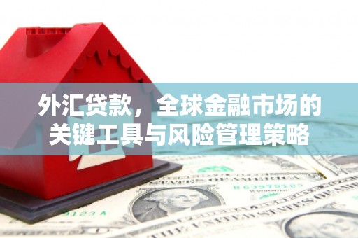 爱民外汇贷款，全球金融市场的关键工具与风险管理策略