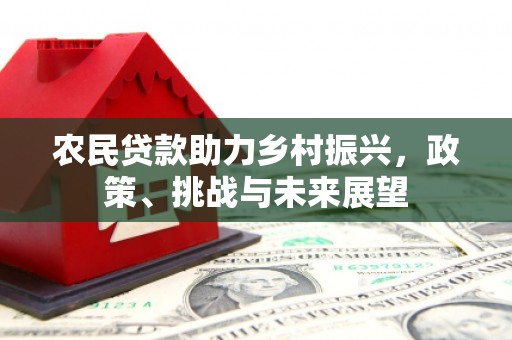 爱民农民贷款助力乡村振兴，政策、挑战与未来展望