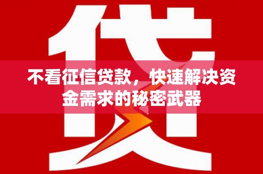 爱民不看征信贷款，快速解决资金需求的秘密武器