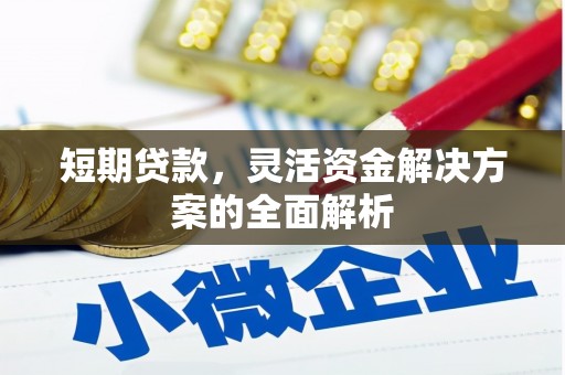 爱民短期贷款，灵活资金解决方案的全面解析