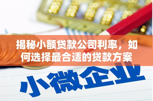 爱民揭秘小额贷款公司利率，如何选择最合适的贷款方案