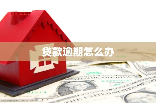 爱民贷款逾期怎么办