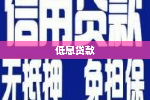 爱民低息贷款