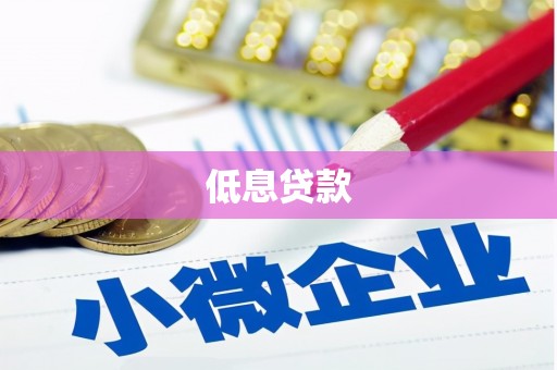 爱民低息贷款