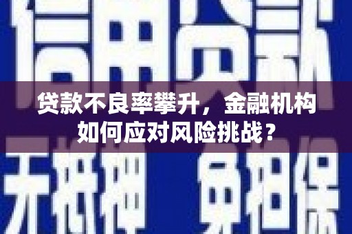 爱民贷款不良率攀升，金融机构如何应对风险挑战？
