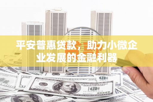 爱民平安普惠贷款，助力小微企业发展的金融利器
